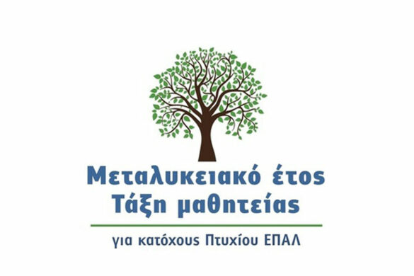 Μαθητεία ΕΠΑΛ